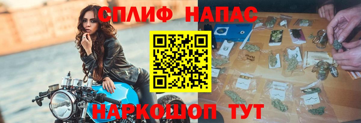Конопля гибрид Рязань